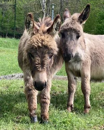 Chalet Les Tutes De La Verniere Auzat